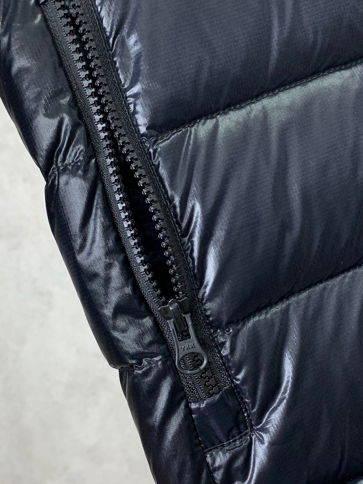 196 | canada goose