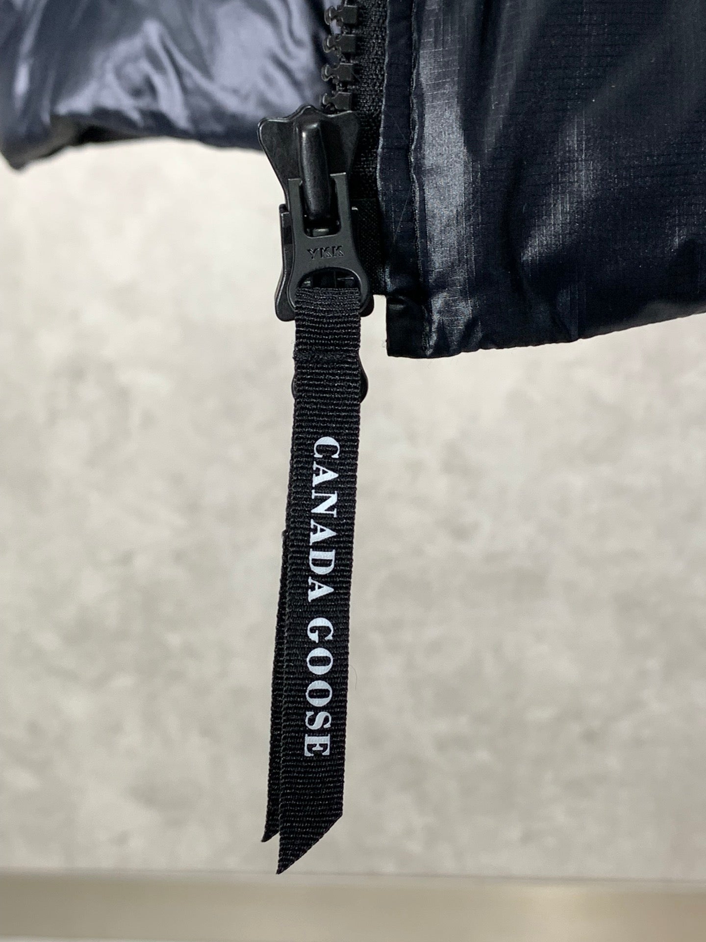 196 | canada goose