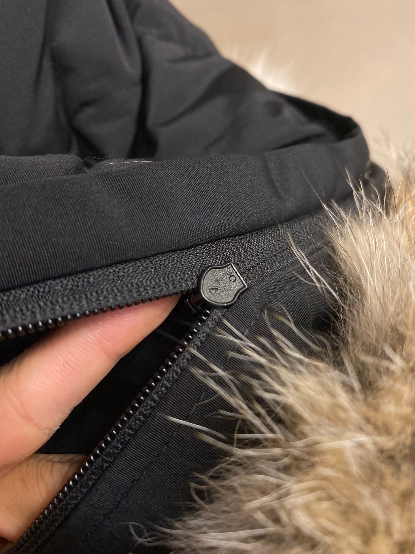 195 | canada goose