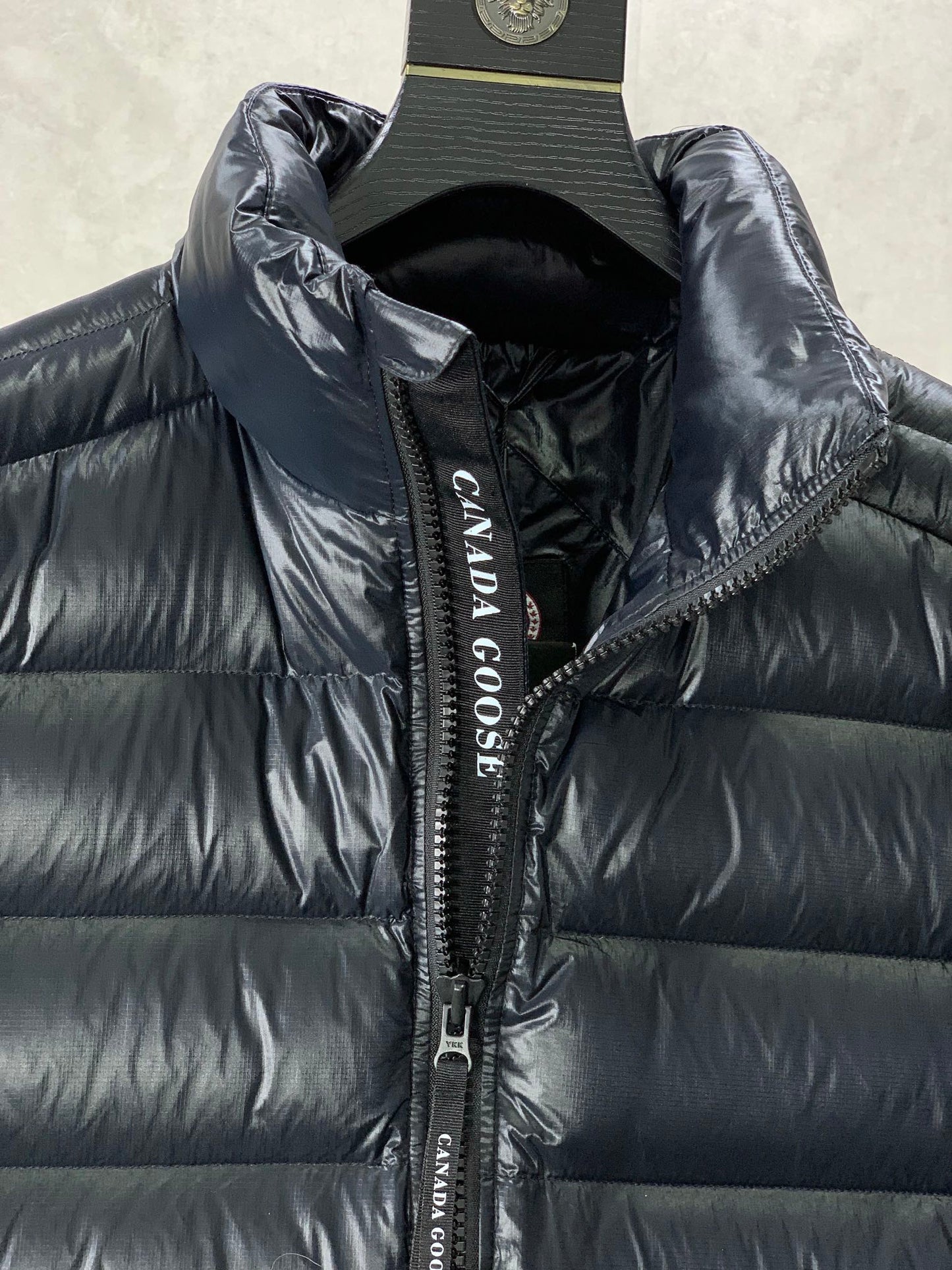 196 | canada goose