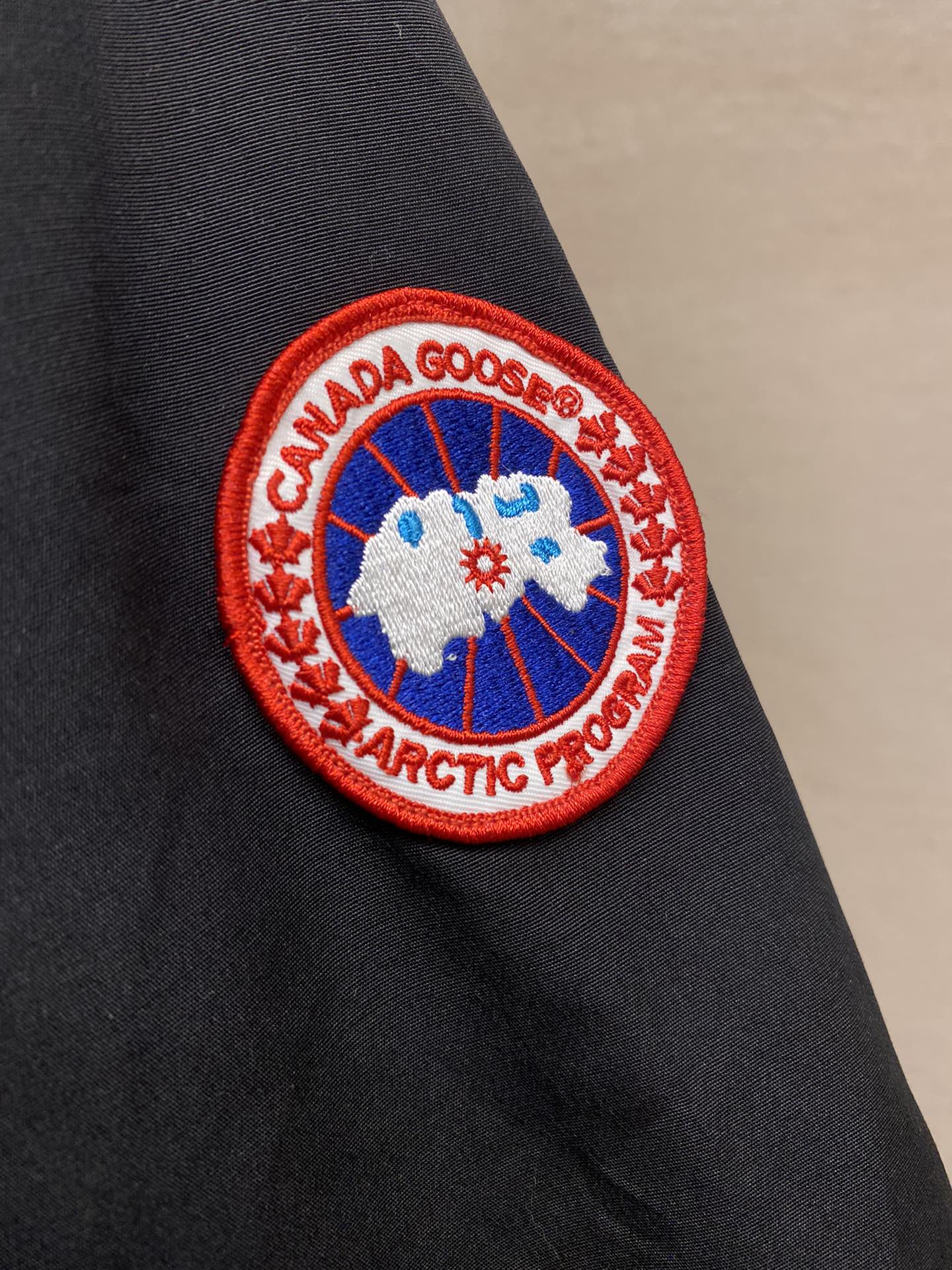 195 | canada goose