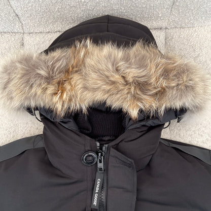 183 | canada goose