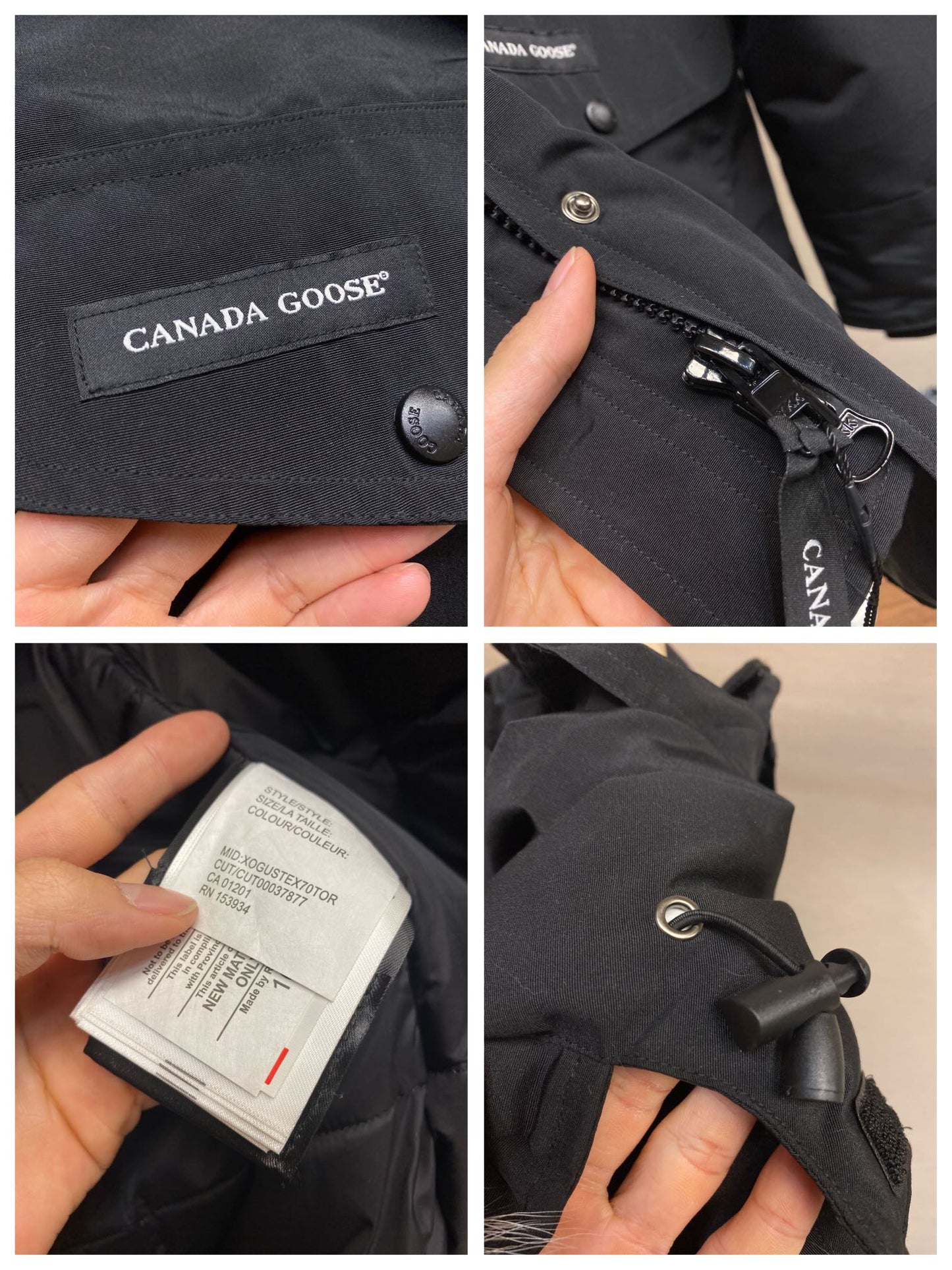 195 |  canada goose